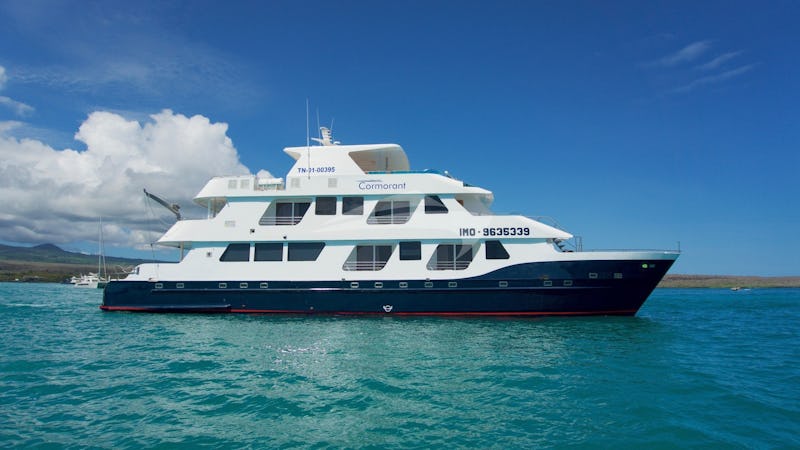Yacht Charter CORMORANT