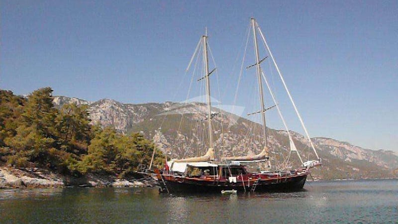 Yacht Charter TRIPPIN