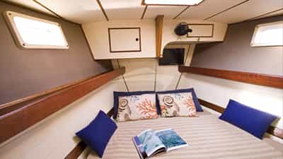 Guest Cabin