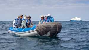 Panga ride - expedition