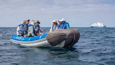 Panga ride - expedition