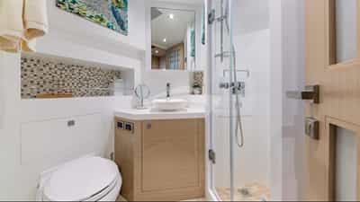 Twin suite head and shower