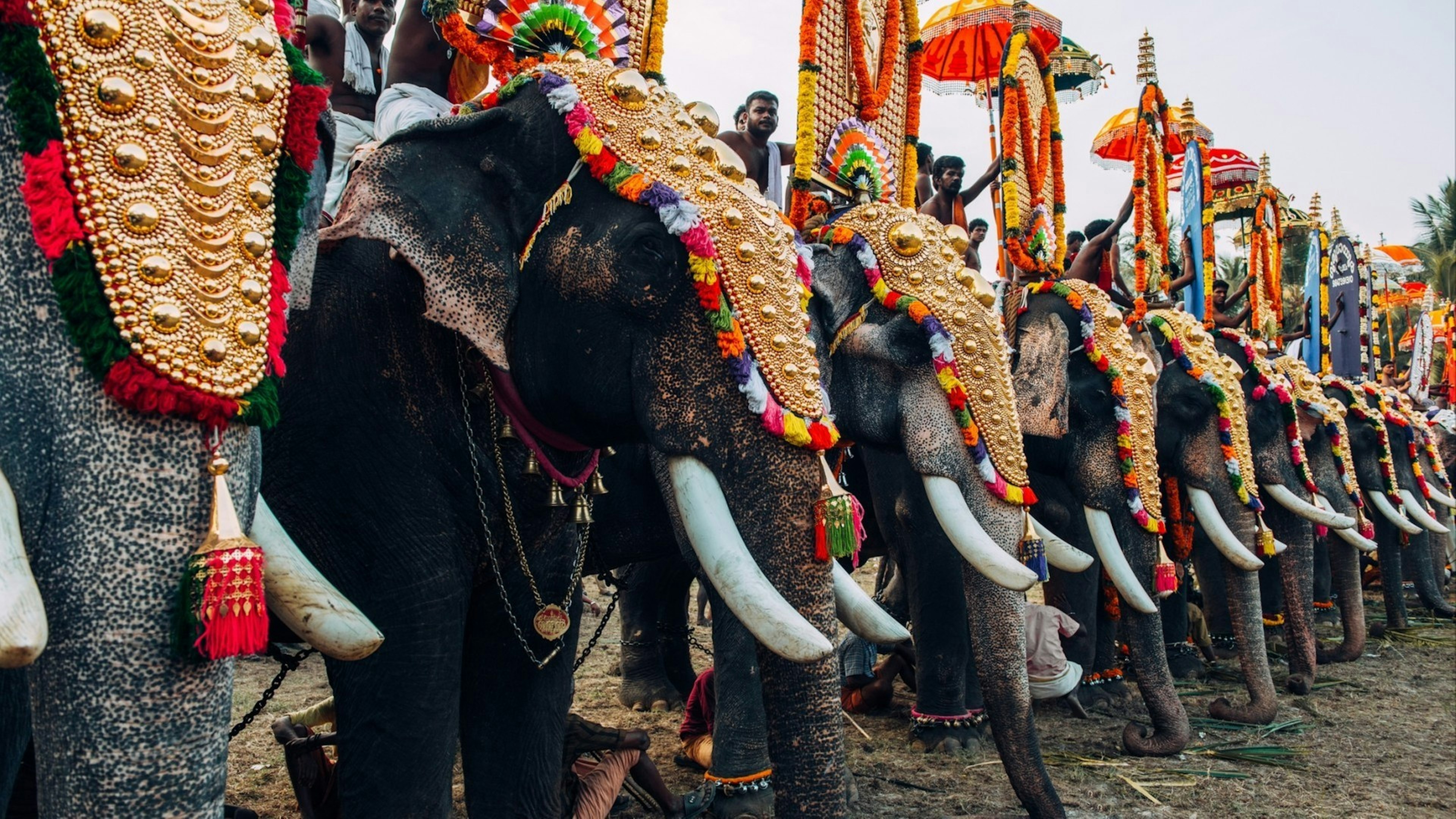 Thrissur elephant festival. Elephant festival in Kerala