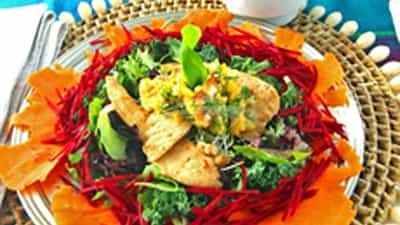 Delicious lunches