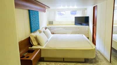 Guest Cabin