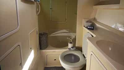 Primary heads with tub and shower
