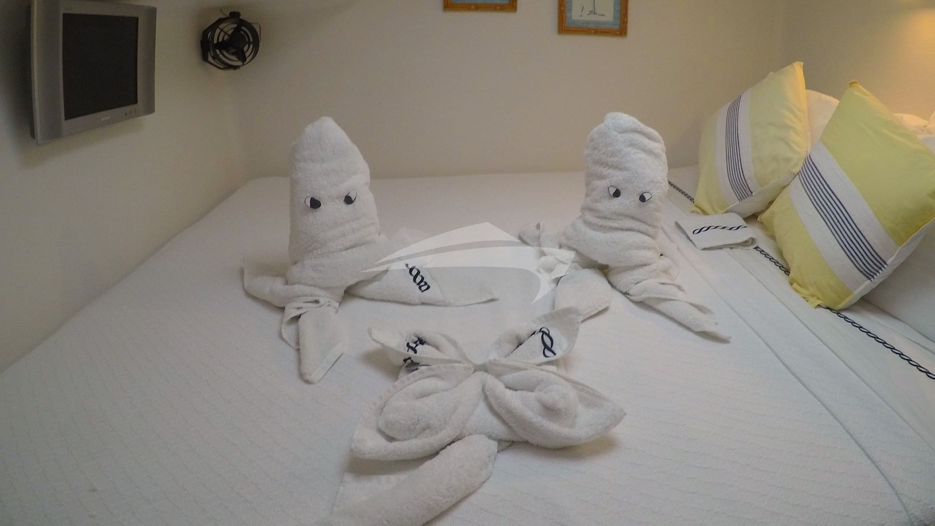 Towel Octopi!