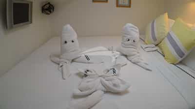 Towel Octopi!