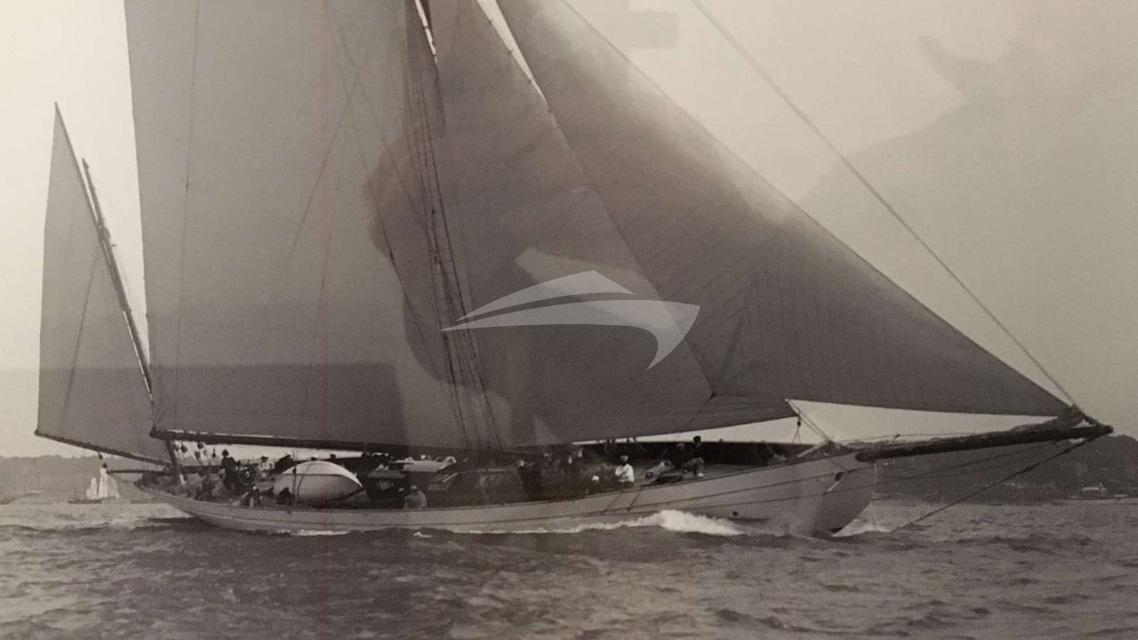 BLACK SWAN, photo from the yacht portfolio 8