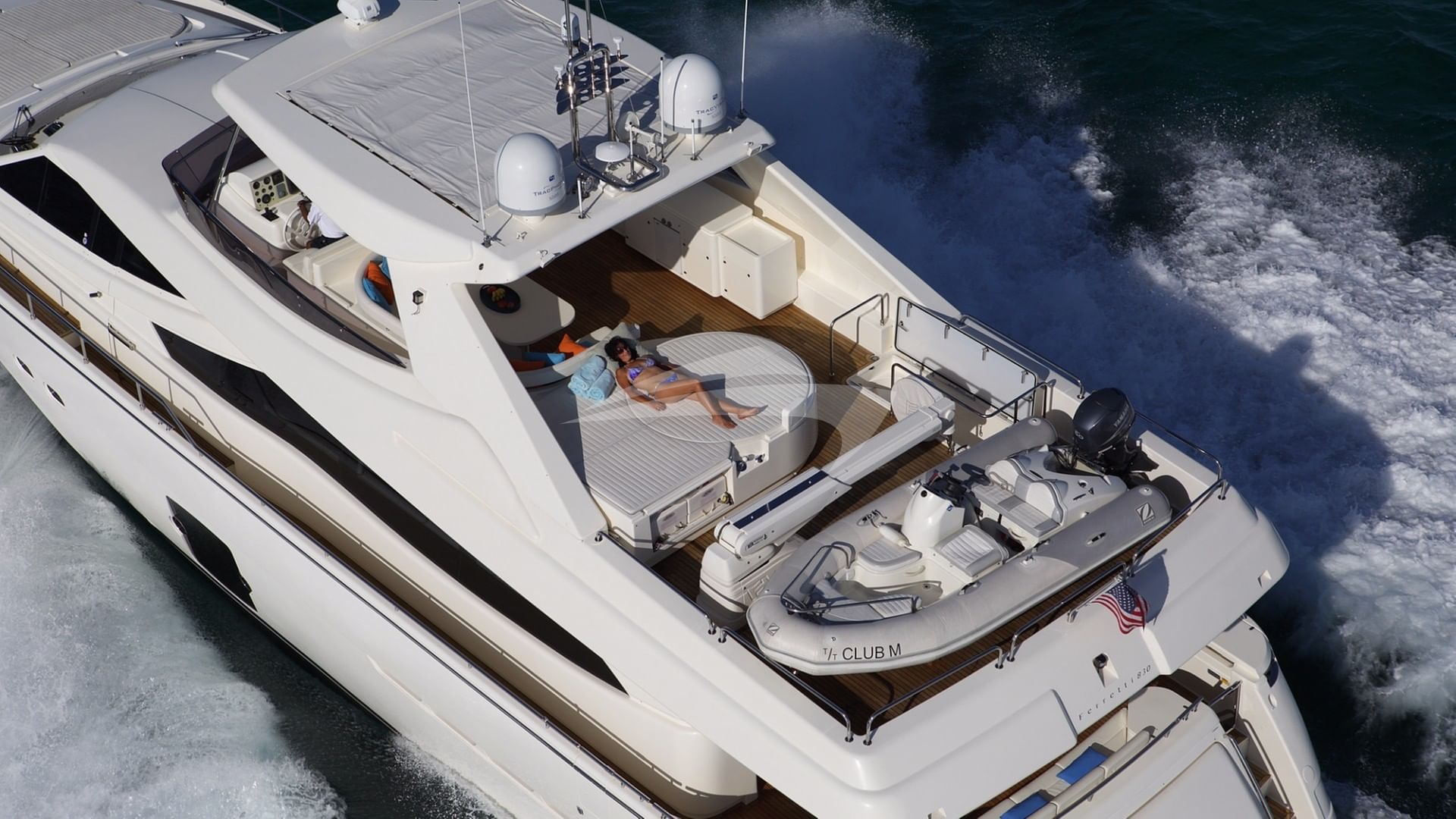 Crystal Parrot Overhead Shot