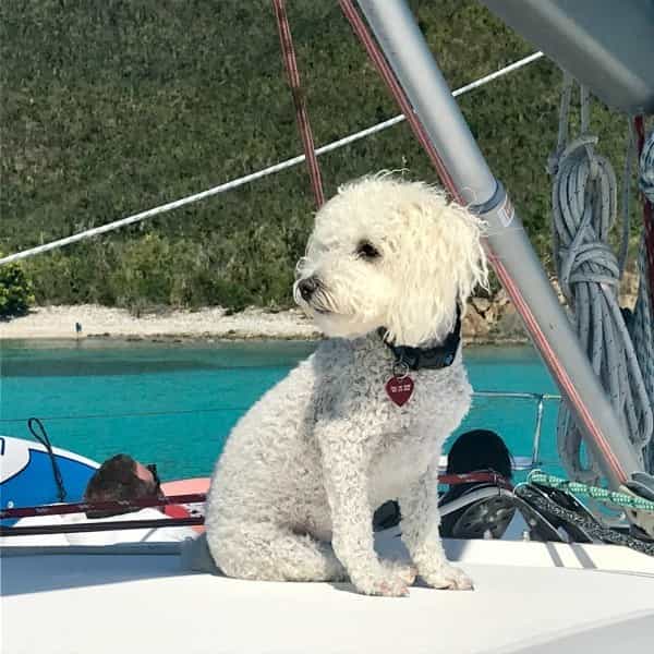 Sailor