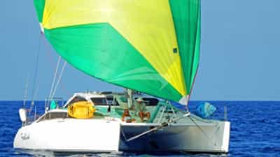 Freebird with Spinnaker