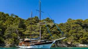 ELEGANZAYacht Charter With Worth Avenue Yachts