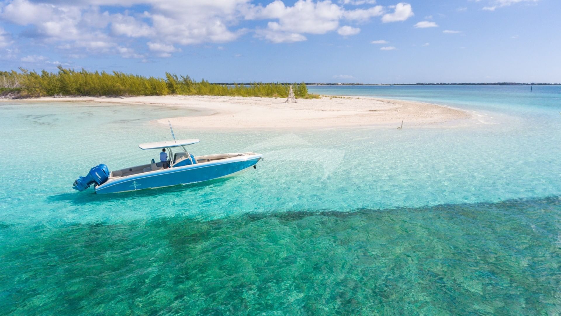 Another Day in Paradise!