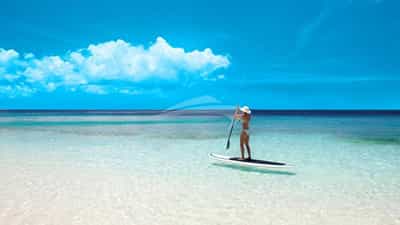Paddle Dreams