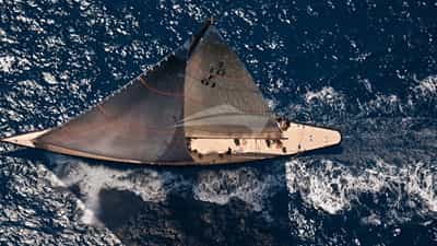 417_palma_s_cup