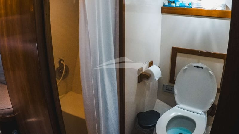 Master head and shower