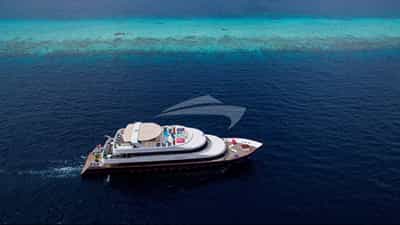 cruising along the reef for diving spots