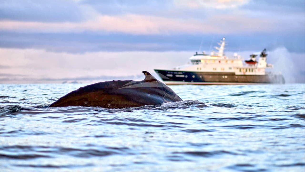 HANSE EXPLORER, photo from the yacht portfolio 8