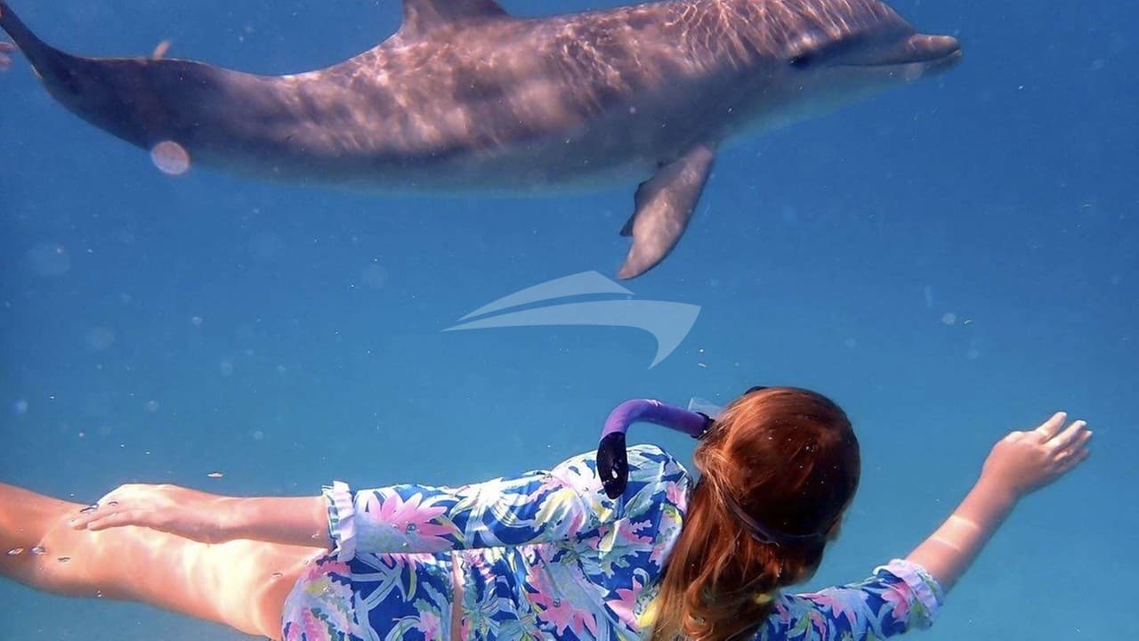 SOME KIND OF WONDERFUL, photo from the yacht portfolio 9