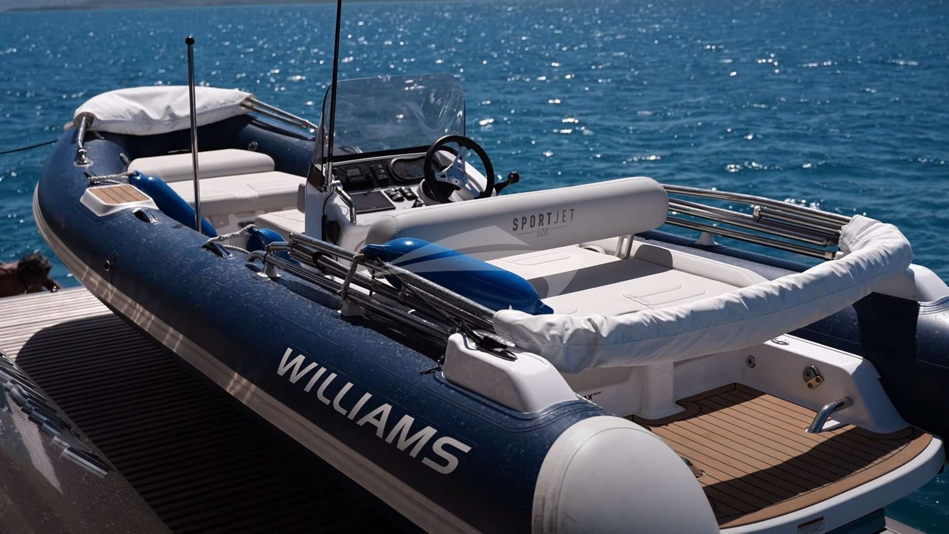 200 luxury horses ready to be released