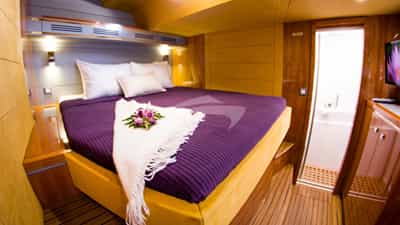 Guest Cabin