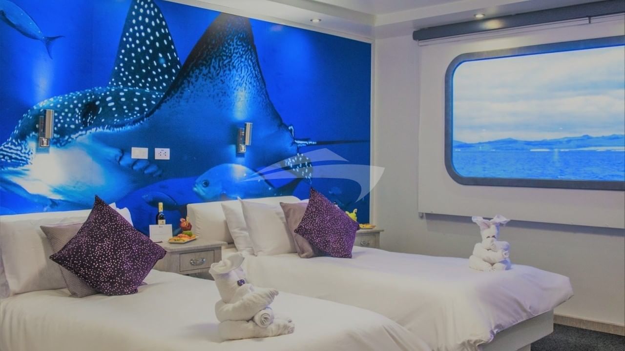 Twin cabin with sofa bed