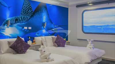 Twin cabin with sofa bed