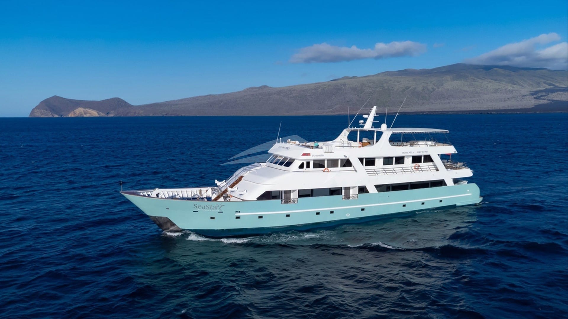 GALAPAGOS SEA STAR