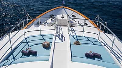 Bow Sunpads