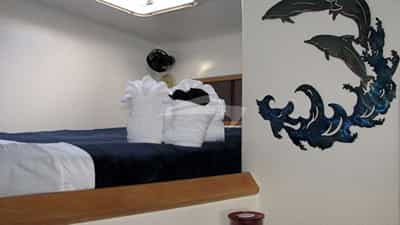 Guest Cabin