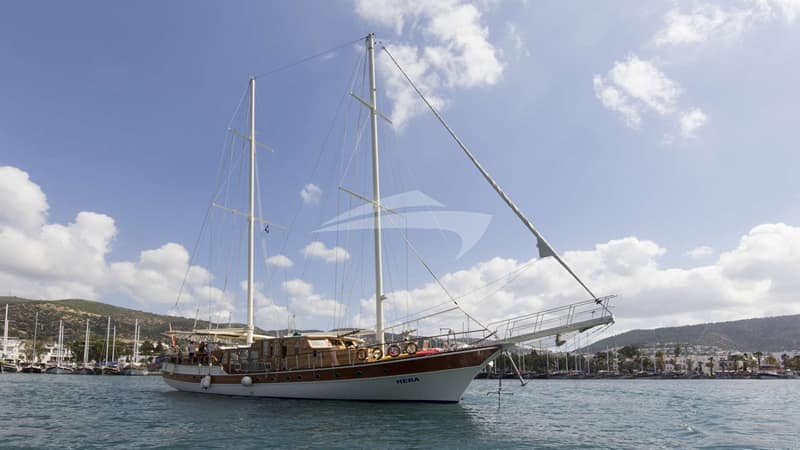 M/S HERA, Motor