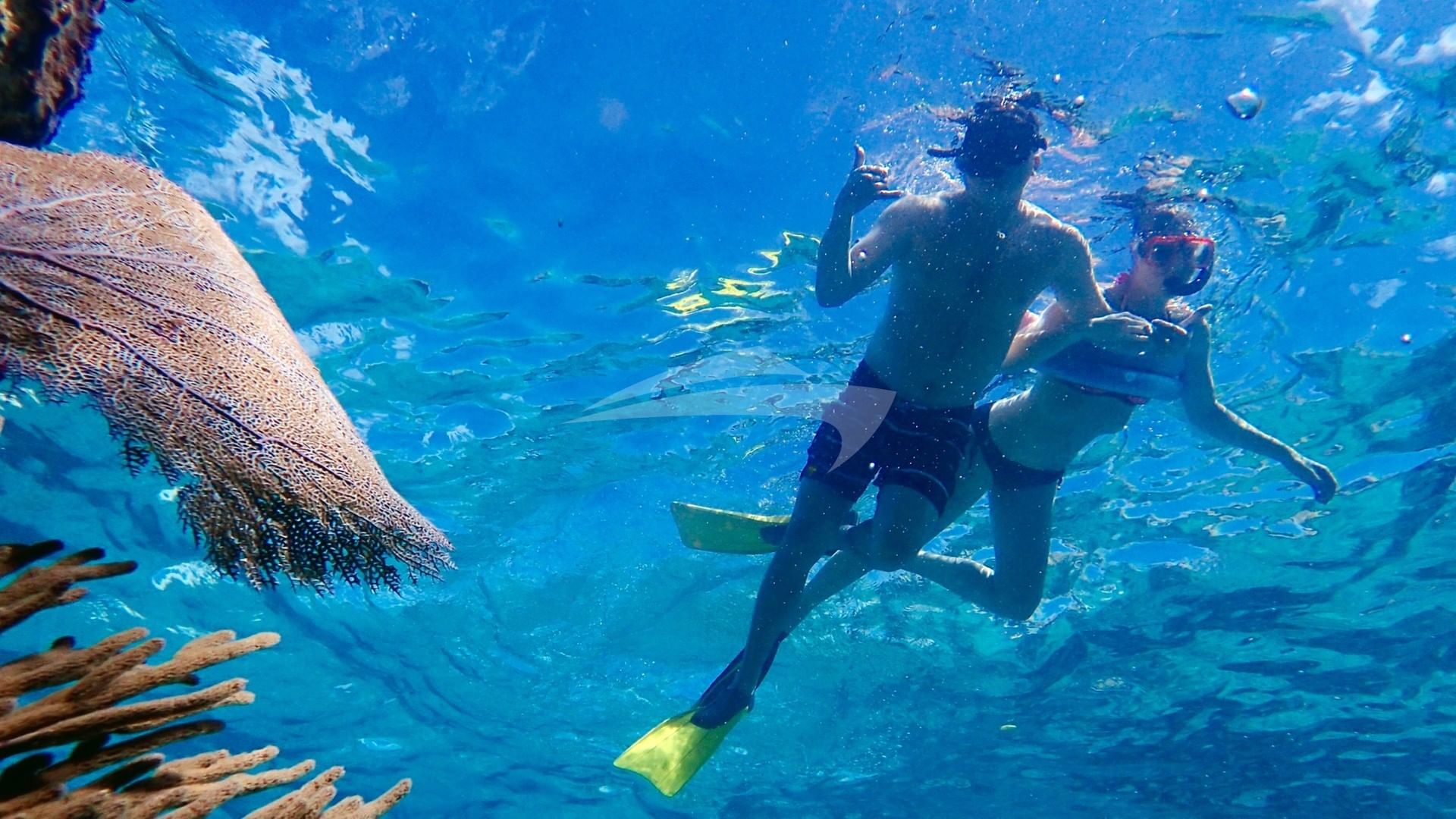 Great snorkeling too