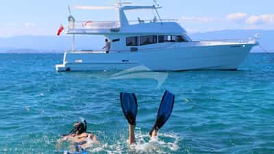 Diving