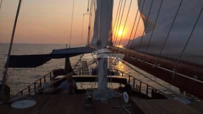 Deck View