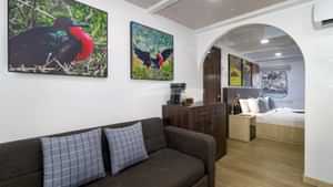 Junior suite main deck