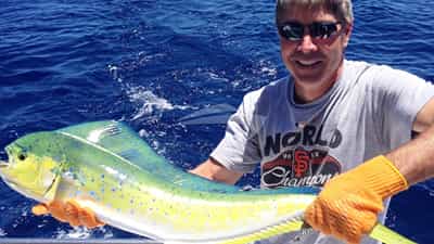 Fishing Onboard
