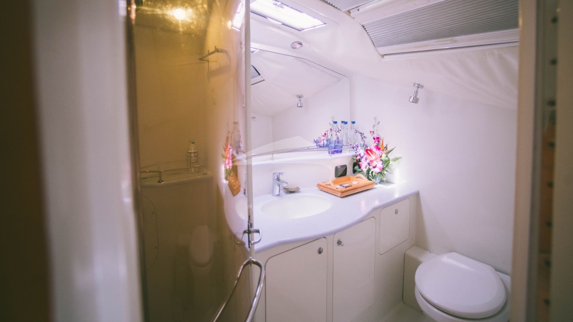 Guest head and shower