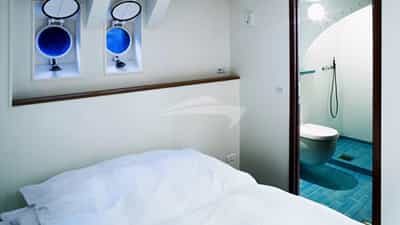 Guest Cabin