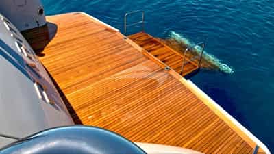 Swim Platform