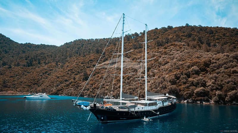 NEVRA QUEEN, Motor