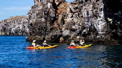 KAYAKS