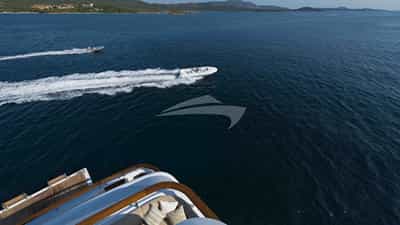 Tenders Shot