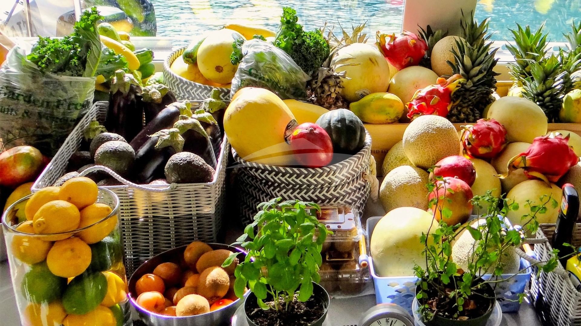 Stocked up for charter