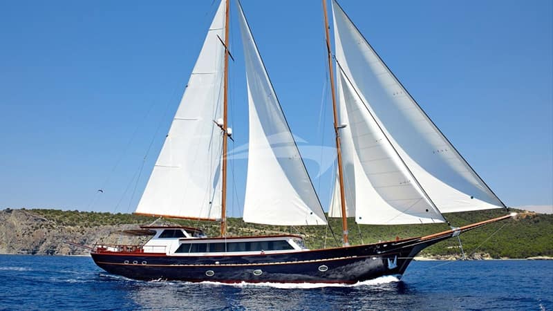 SLOW LIVE, Sail