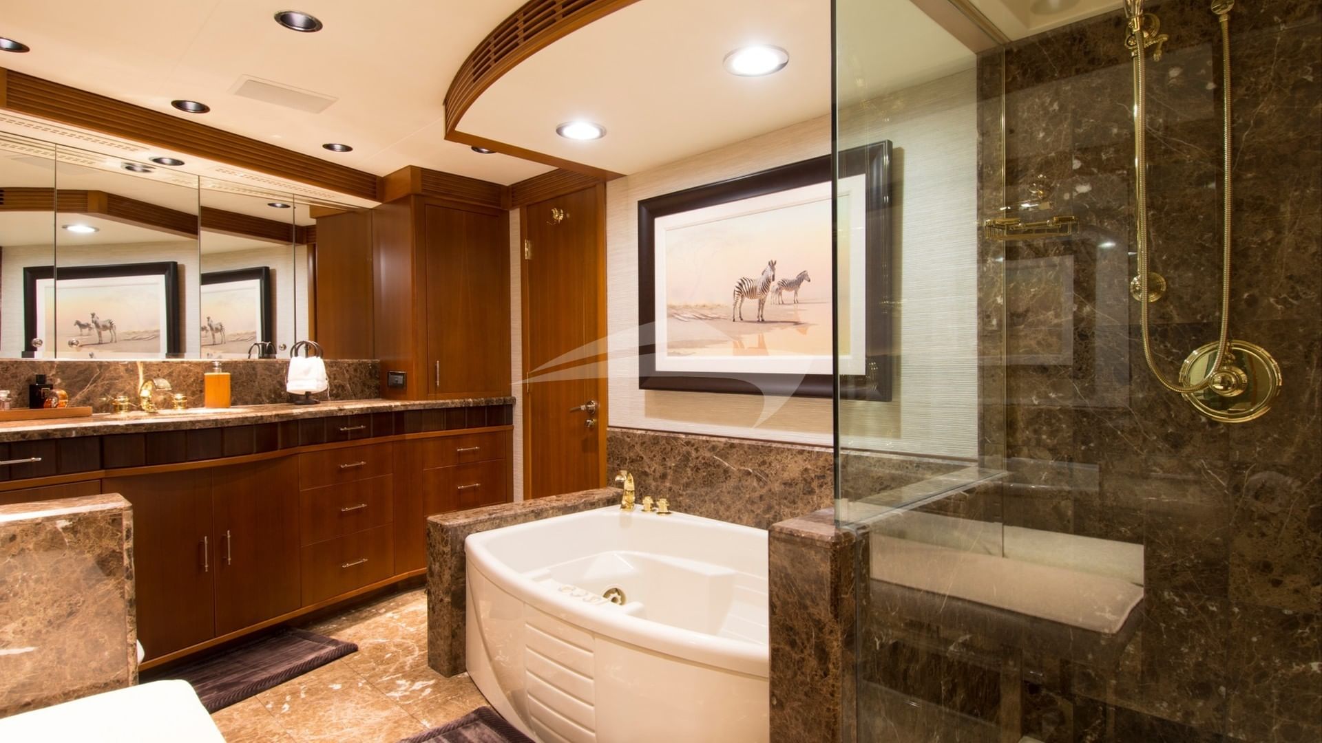 Master Bath Jacuzzi Tub