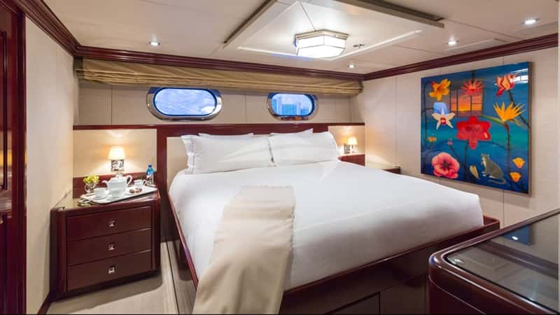 LADY JOY 48m motor yacht charter, photo 8
