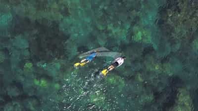 Snorkelling