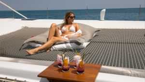 MAGIC CAT - Lifestyle