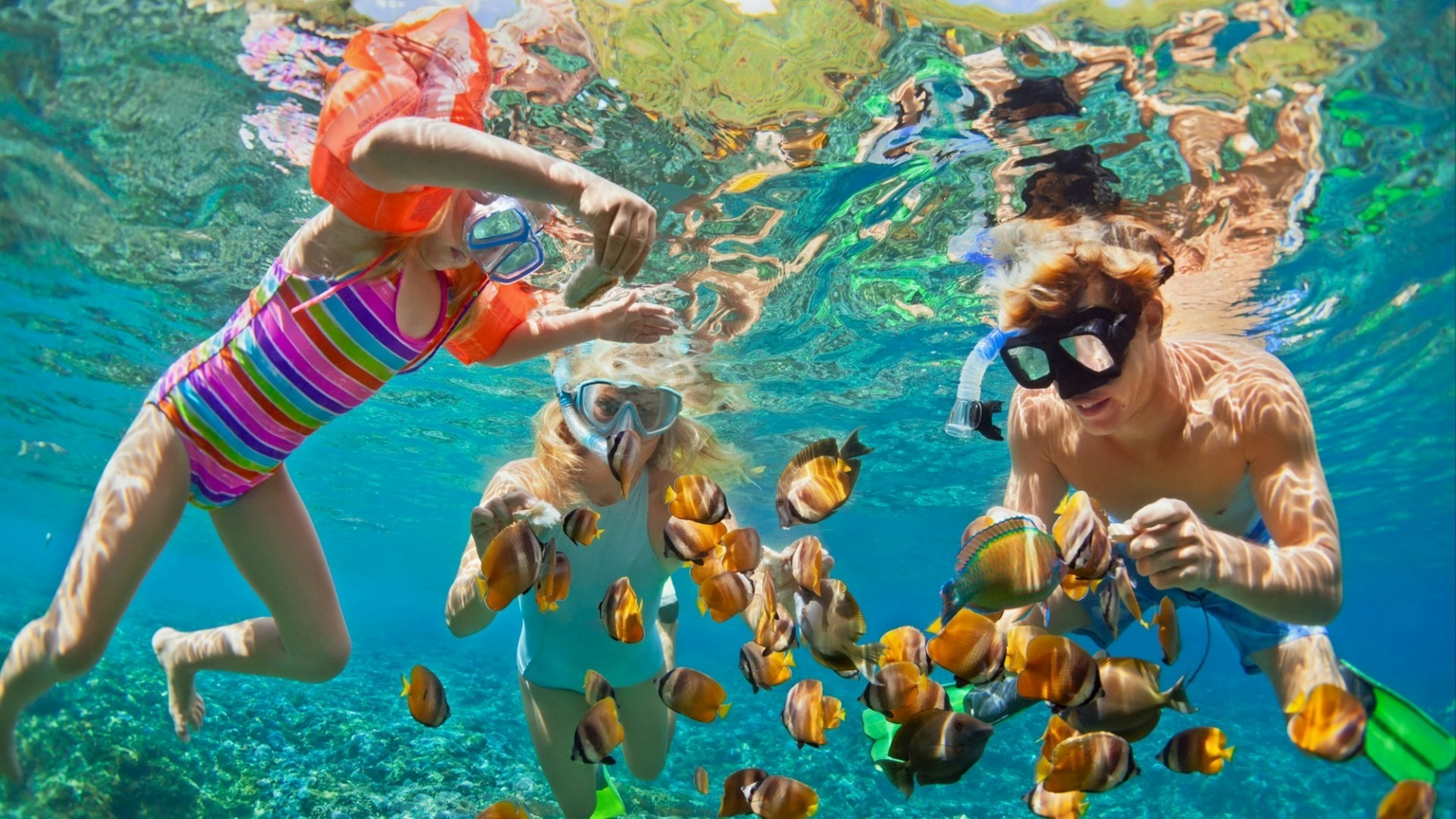 Family fun, snorkeling among tropical fish over a coral reef